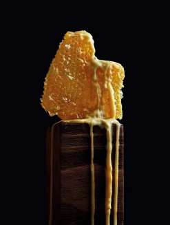 Honey Beeswax Candleholder