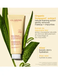 Hydrating Gentle Foaming Cleanser