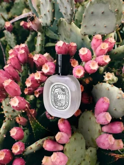 Ilio Hair Mist - Limited Edition