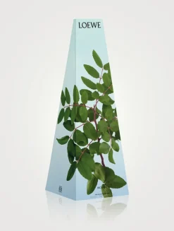 Incense Wax Candleholder