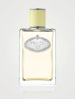 Infusion de Gingembre Eau de Parfum