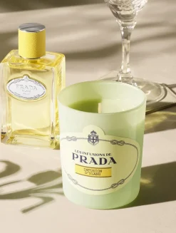 Infusion d’Ylang Candle