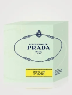 Infusion d’Ylang Candle