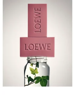 Ivy Small Solid Soap Duo Set