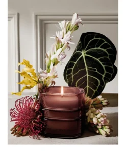 La Forêt Rêve Refillable Candle