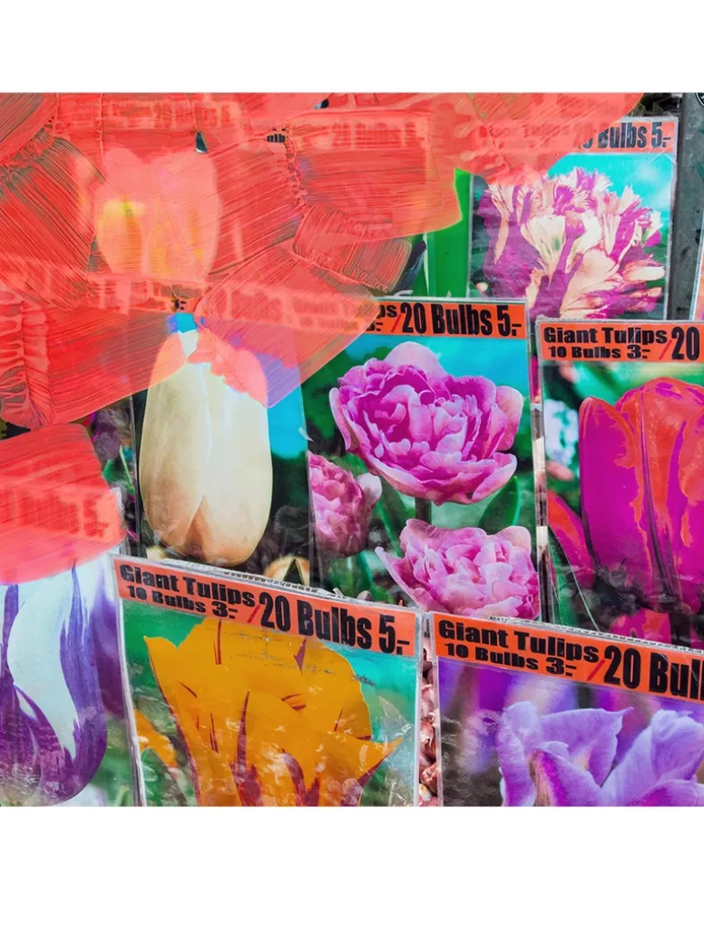 La Tulipe Eau de Parfum