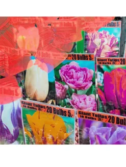 La Tulipe Eau de Parfum