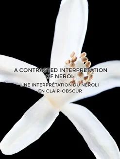 L'Art & La Matière Néroli Outrenoir Eau de Parfum