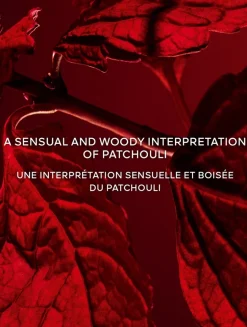 L'Art & La Matière Patchouli Paris Eau de Parfum