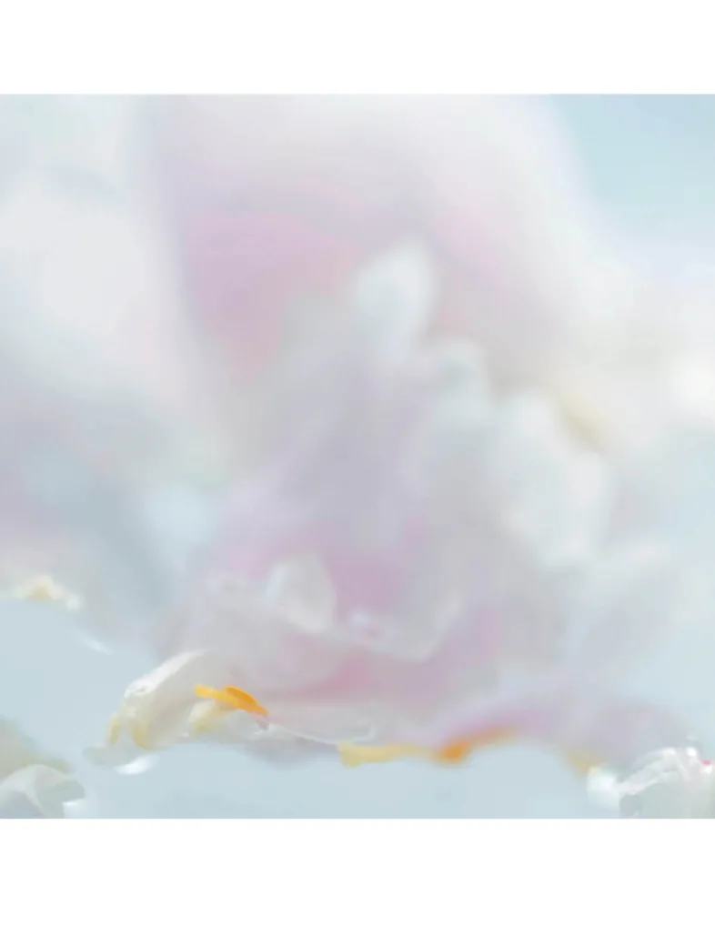 L'Heure Diaphane Eau de Toilette