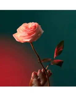 Liquid Love Eau de Parfum