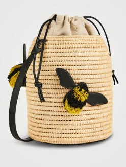 Loewe x Paula's Ibiza Beehive Raffia Crossbody Bag