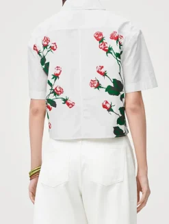 Loewe x Paula's Ibiza Cropped Poplin Shirt In Rose Print
