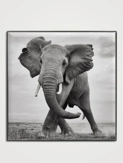 Luminescent Eye Shade