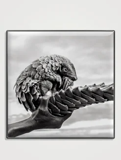 Luminescent Eye Shade