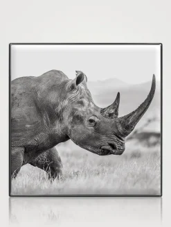 Luminescent Eye Shade