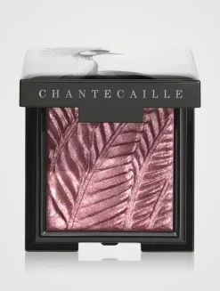 Luminescent Eye Shade - Crane