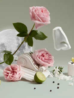 Luna Eau de Toilette