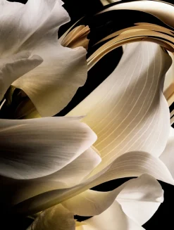 Million Gold For Her Body Lotion