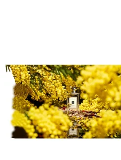 Mimosa & Cardamom Cologne