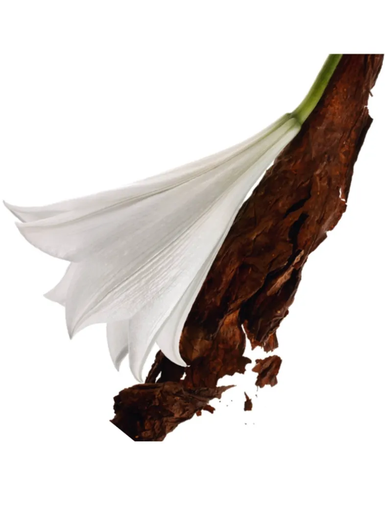 Mon Paris Eau de Parfum