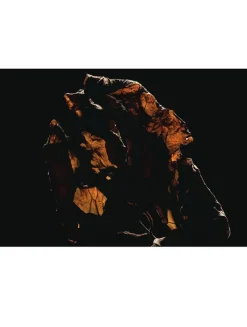 Mon Paris Eau de Parfum