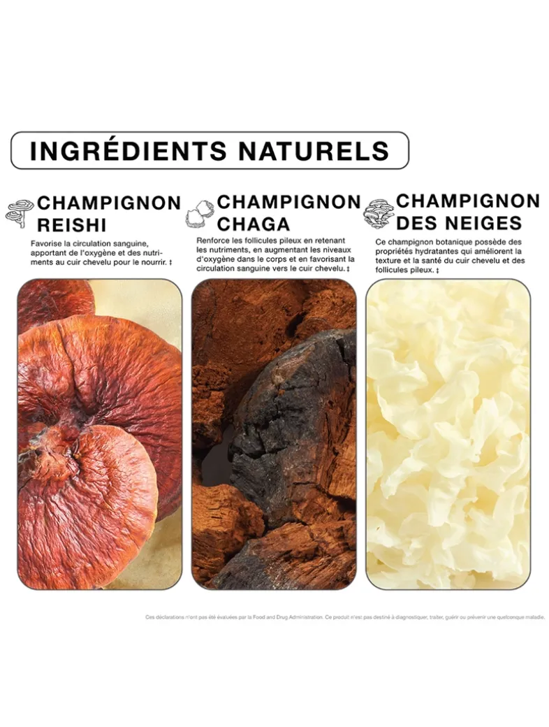 Nourish Haircare Gummies