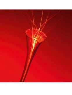 Or Rouge La Crème Essentielle - Refill