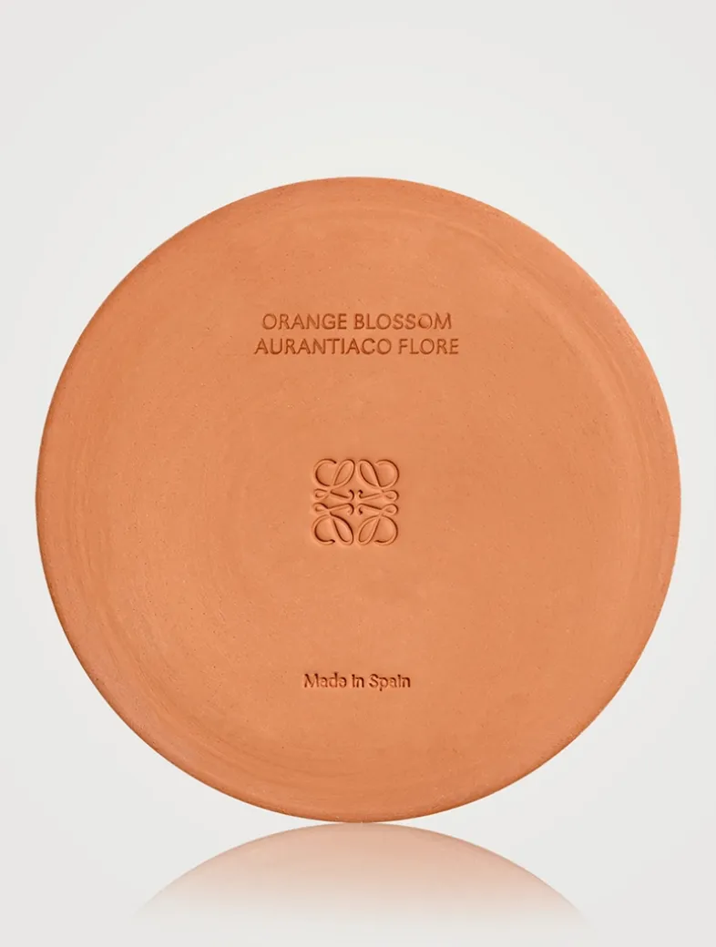 Orange Blossom Candle