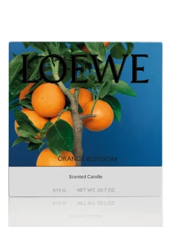 Orange Blossom Candle