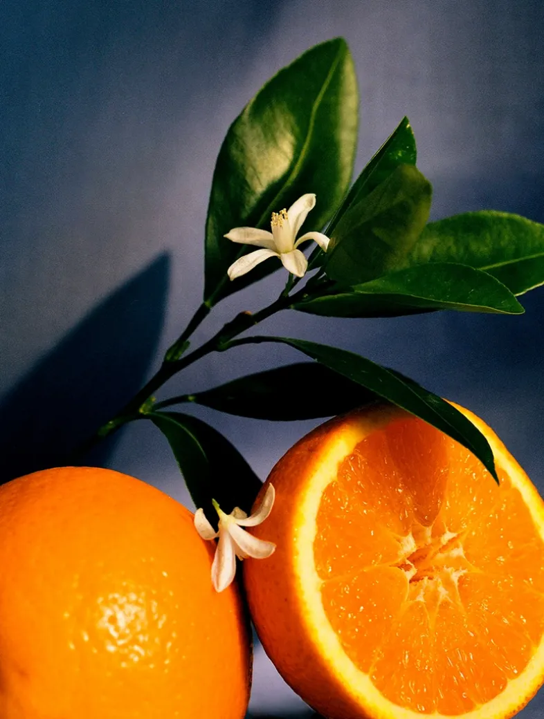 Orange Blossom Candle