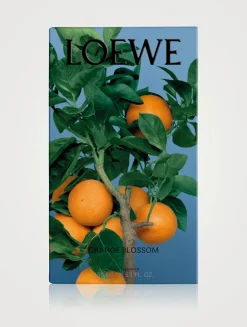 Orange Blossom Home Fragrance