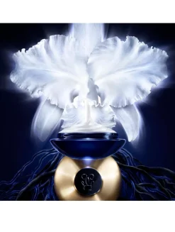 Orchidée Impériale The Light Cream Refill