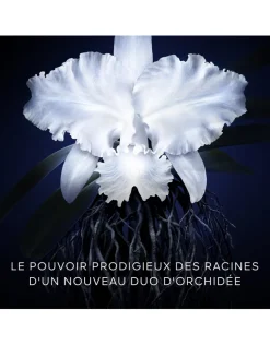 Orchidée Impériale The Light Cream Refill