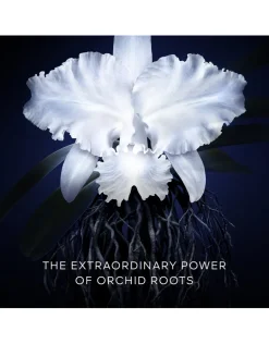 Orchidée Impériale The Light Cream Refill