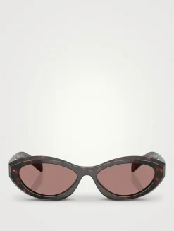 Oval Cat Eye Sunglasses