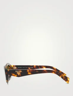 Oval Cat Eye Sunglasses