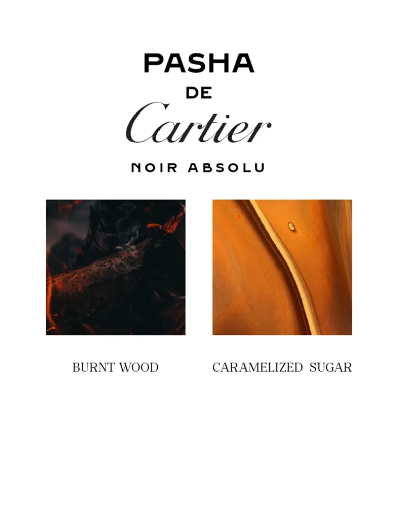 Pasha Noir Absolu Parfum