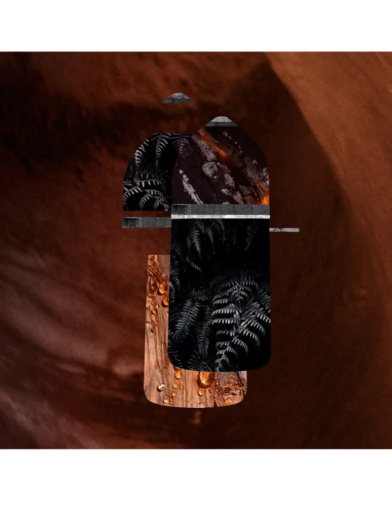 Pasha Noir Absolu Parfum