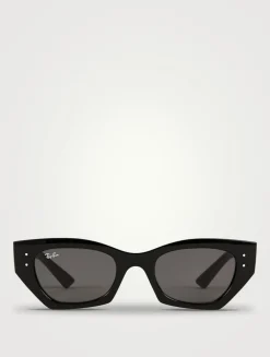 0RB4430 Cat Eye Sunglasses