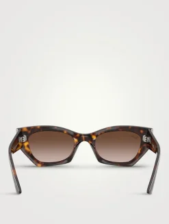 0RB4430 Cat Eye Sunglasses