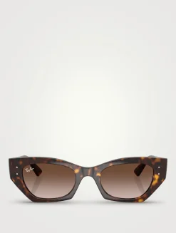 0RB4430 Cat Eye Sunglasses