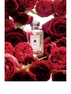 Red Roses Cologne