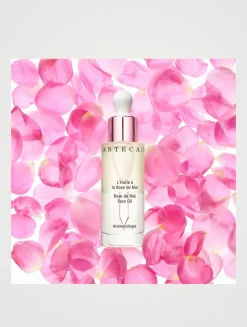 Rose de Mai Face Oil