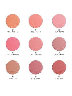 Rose Hermès Silky Blush Powder