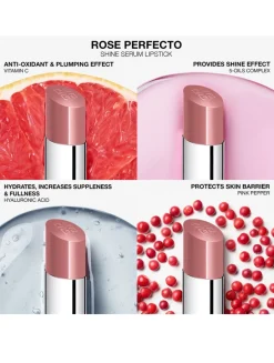 Rose Perfecto Shine Serum Lip Oil Stick