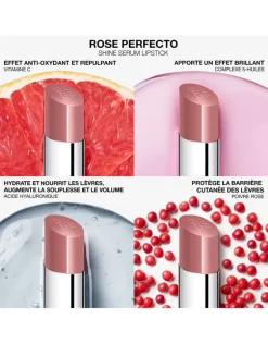 Rose Perfecto Shine Serum Lip Oil Stick