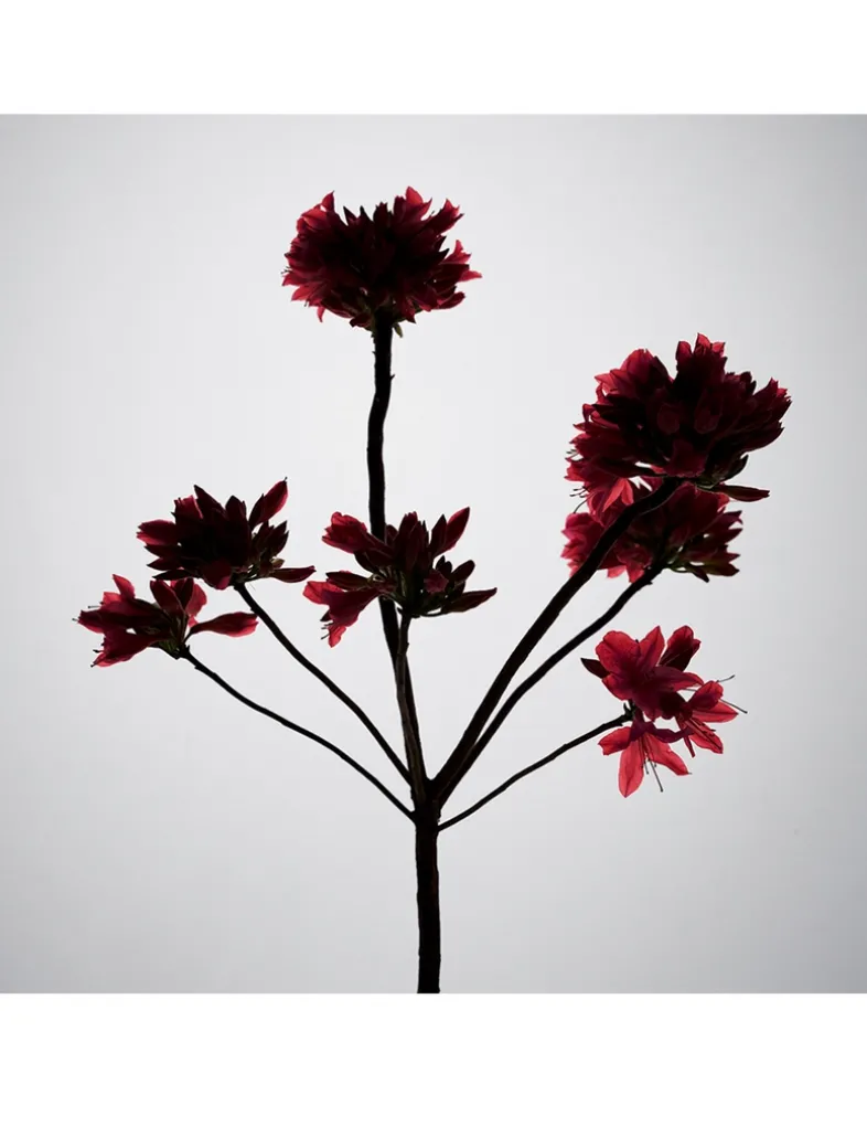 Rouge Chaotique Night Veil