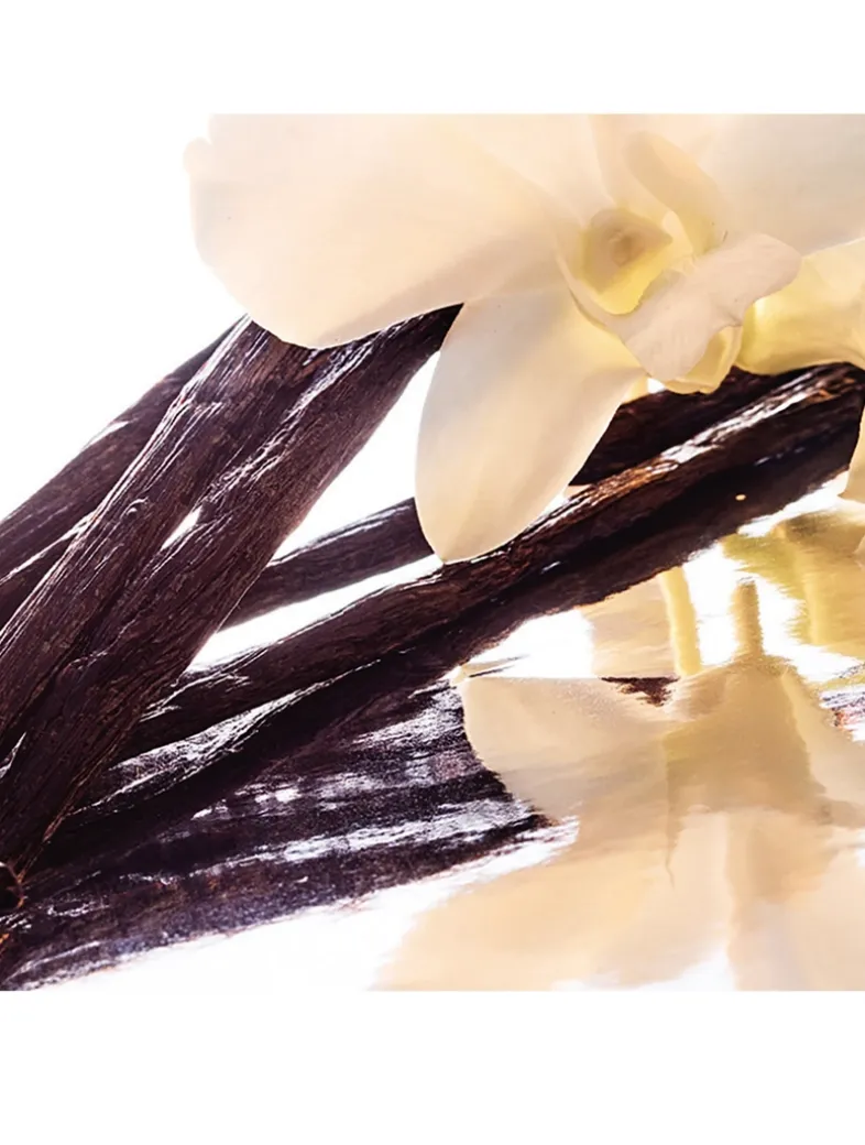 Shalimar Eau de Parfum