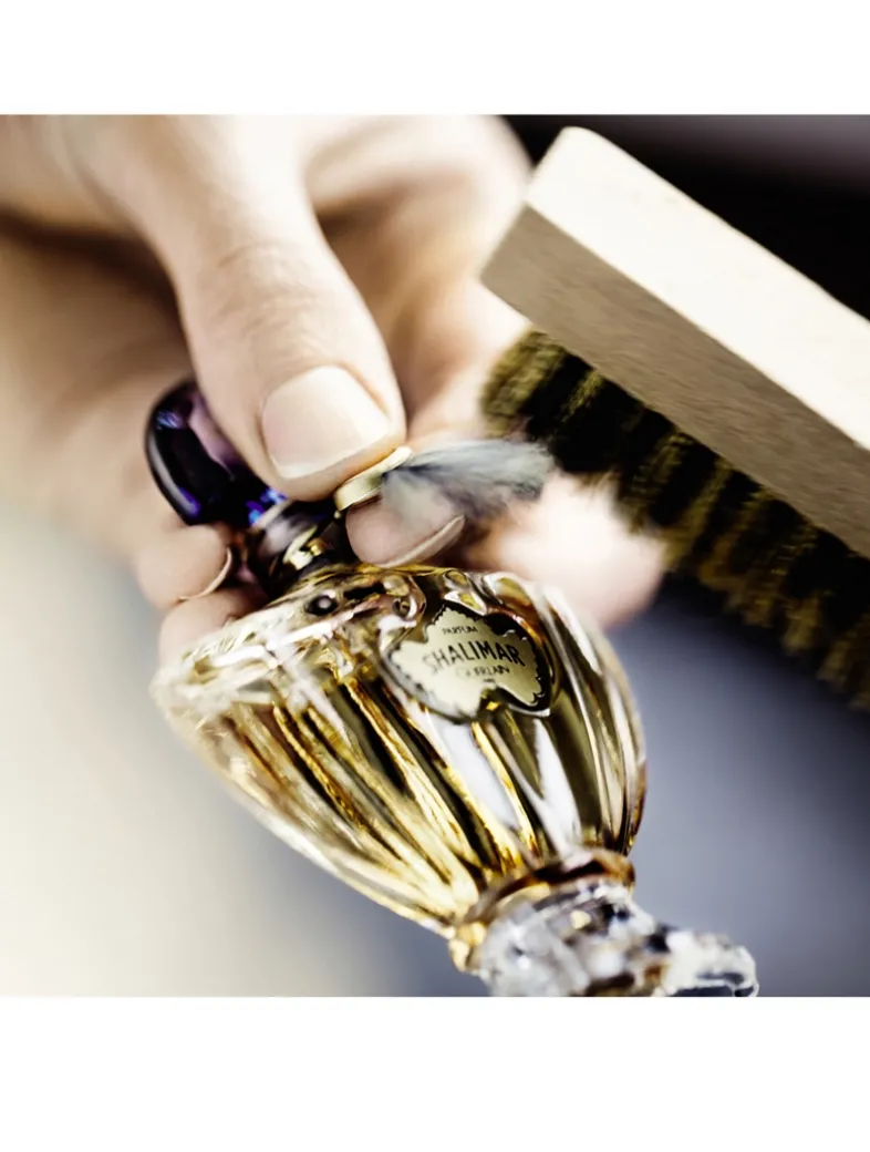 Shalimar Eau de Parfum